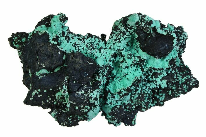 Blue-Green Botryoidal Chrysocolla - Planet Mine, Arizona #358239